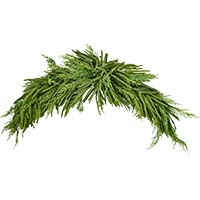 48" Artificial Christmas Spruce Cedar Evergreen Swag