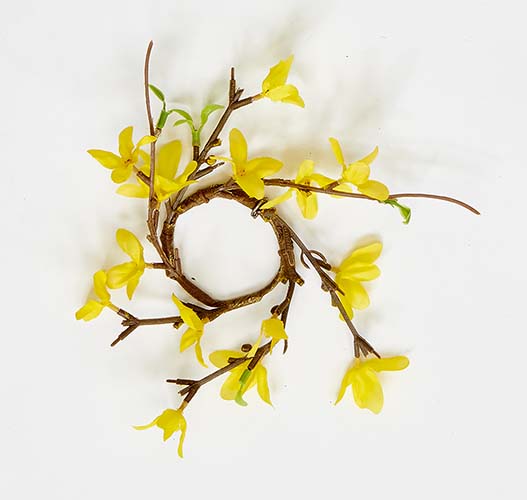 2.25" Forsythia Candle Ring