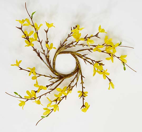 3.25" Forsythia Candle Ring