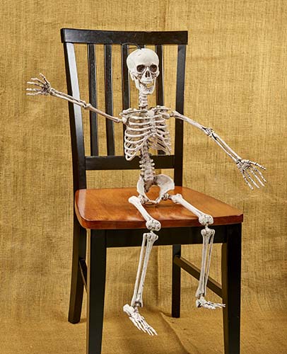 posable skeleton model